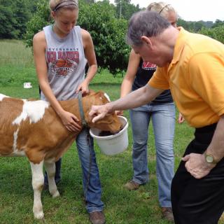 Two people feeding a cow outdoors.
