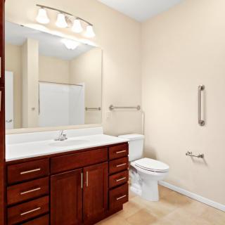 A modern bathroom with a wooden cabinet, large mirror, and a toilet.