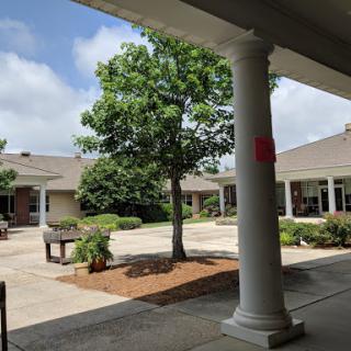 A serene courtyard featuring a tree and architectural columns under a bright sky.