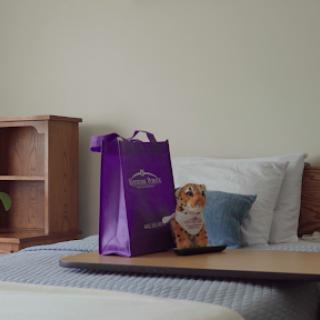 A cozy room with a neatly made bed, featuring a purple shopping bag and some snacks on the bedside.