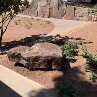 A heart-shaped rock nestled in a garden setting, surrounded by plants and a walking path.