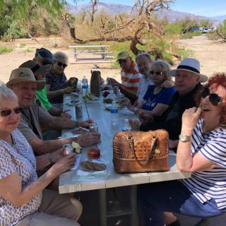 A group of people enjoying a picnic outdoors on a sunny day.