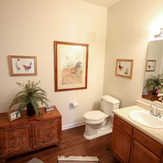 A cozy bathroom featuring a toilet, sink, and decorative elements.