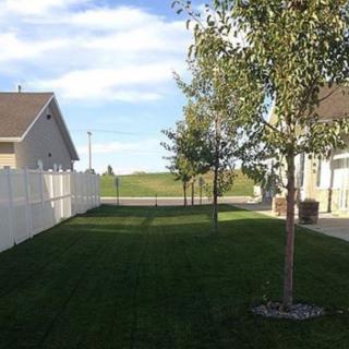A peaceful backyard with a well-maintained lawn, trees, and a surrounding white fence under a blue sky.