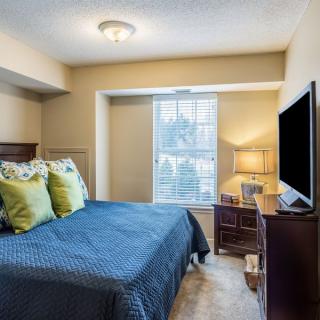 A cozy bedroom with a bed, desk, and TV near the window.