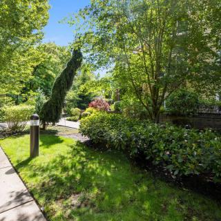A sunny garden with a pathway surrounded by lush greenery and trees.