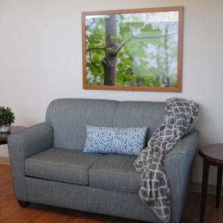 A cozy living room scene featuring a comfortable gray sofa adorned with a patterned blanket and decorative pillow, complemented by a nature-themed artwork.