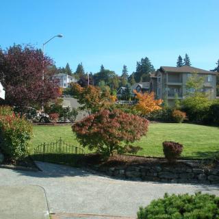 A scenic suburban garden with trees and green grass on a sunny day.