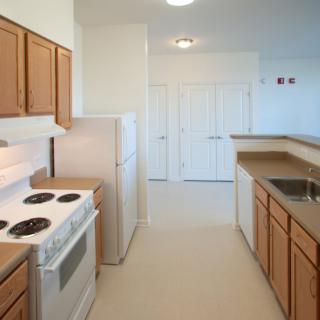 A modern kitchen with wooden cabinets, a stove, and spacious countertops.