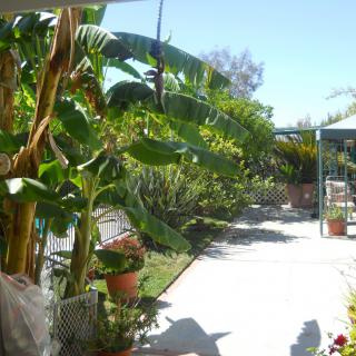 Agape Home for the Elderly
