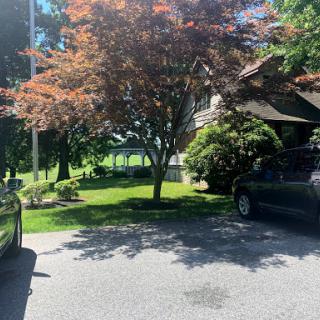 A sunny day in a serene outdoor setting with lush green grass, trees, and parked vehicles.