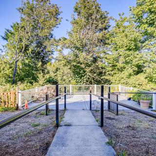 A scenic walkway surrounded by lush trees and nature.
