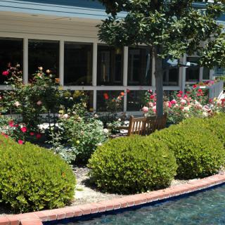 Catered Living at Chateau Lake San Marcos