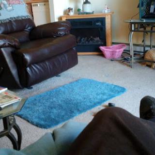 A cozy living room featuring a dark leather couch, a blue rug, and various furnishings creating a warm atmosphere.