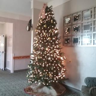 A beautifully decorated Christmas tree adorned with lights, bringing festive cheer to the living room.