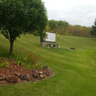 A serene view of a grassy hillside with a tree and a sign in the background.