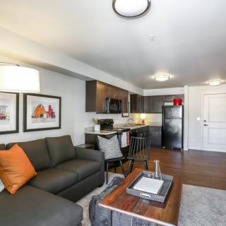 A modern apartment interior featuring a cozy living room with a sofa, adjacent to an open-plan kitchen.