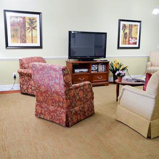 A cozy living room with patterned armchairs, a television on a wooden stand, and decorative paintings on the walls.