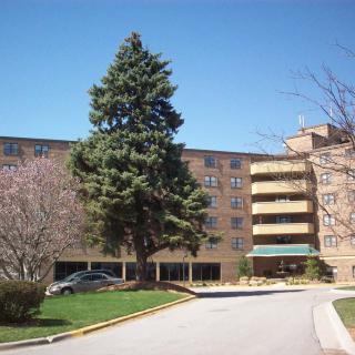 A residential building with a large tree in front and a driveway leading to the entrance.