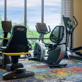 A modern gym setup with various cardio machines in front of large windows.