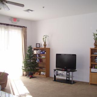 A bright living room with a television, bookshelves, and an indoor plant.