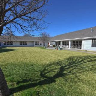 A courtyard with a tree casting a shadow on the grass, surrounded by buildings under a clear blue sky.