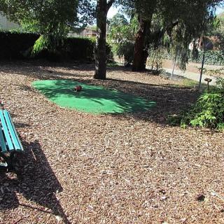 A peaceful park scene with a bench, trees, and sunlight filtering through the leaves.