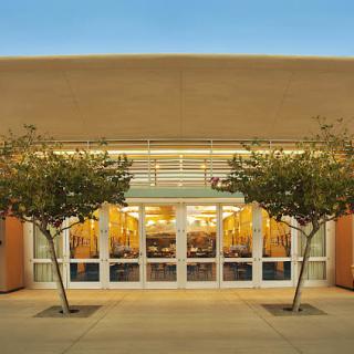 A building entrance with glass doors flanked by two trees in the evening light.