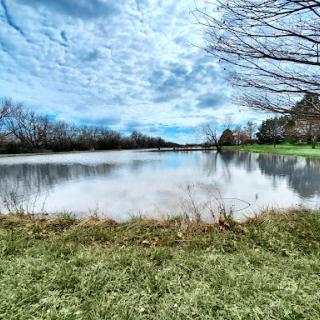 A serene lakeside view under a partly cloudy sky, reflecting the beauty of nature.