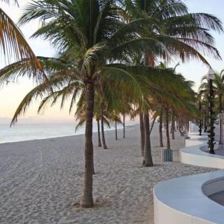 A serene sunrise view of a tropical beach lined with palm trees.