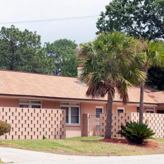 A suburban house with a brick wall and palm tree in the front yard.