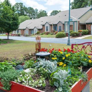 A vibrant garden with blooming flowers in a residential neighborhood.