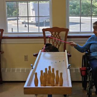 Residents enjoying a fun bowling activity with a pet in a cozy indoor setting.