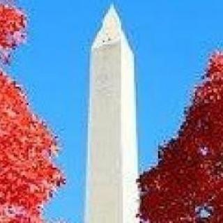 A prominent obelisk monument framed by vibrant red autumn trees against a clear blue sky.