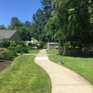 A sunny garden pathway surrounded by lush greenery and landscaping.