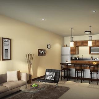 A cozy living room with an open kitchen in a contemporary style.