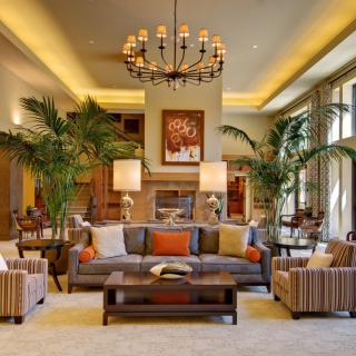 A stylish and modern living room featuring elegant furniture, a large chandelier, and lush indoor plants.