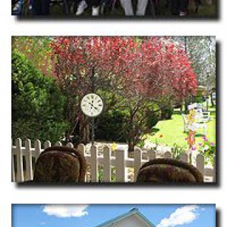A serene garden scene with a clock mounted on a white picket fence, surrounded by lush greenery and vibrant foliage.
