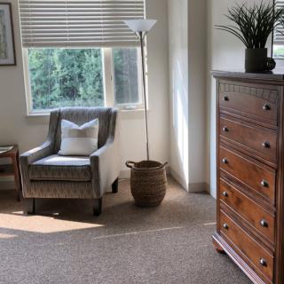 A cozy living room corner with a chair, lamp, and dresser by a window.