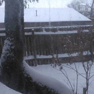 A serene winter scene showing snow-covered ground and a tree near a fence.