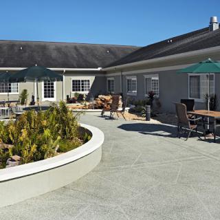 A sunny outdoor patio area with tables, chairs, and a landscaped garden bed.