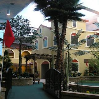 A serene courtyard featuring palm trees and a tranquil water feature, with a flag in the foreground.