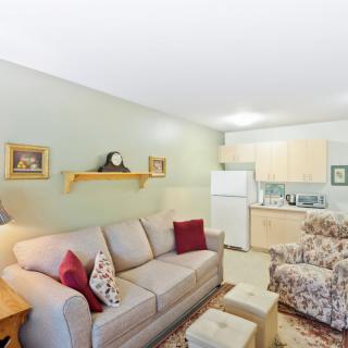 A cozy living area with a sofa, chair, and a small kitchen in the background.