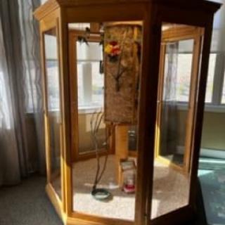 A vintage wooden telephone booth with a payphone inside, set in a sunlit room.