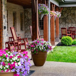 A cozy patio with colorful flowers and wooden furniture, ideal for relaxing in a beautifully landscaped garden.