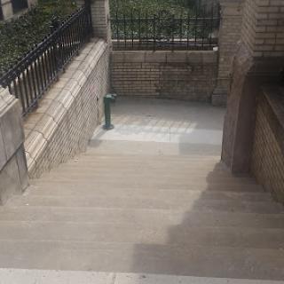 A view down a set of stairs with surrounding railings and greenery.