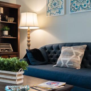 A cozy living room with a blue sofa, decorative pillows, a standing lamp, and a bookshelf adorned with plants and art.