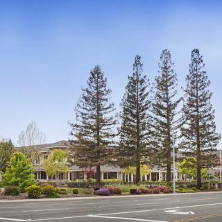 A scenic view of a building lined with tall trees beside a road.