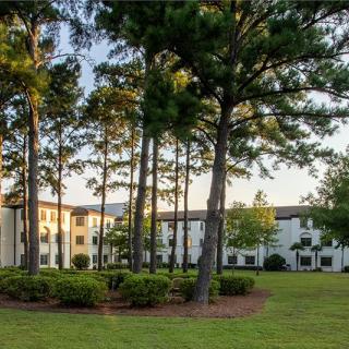 A serene view of tall trees in front of a residential building surrounded by green grass.