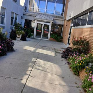 A bright courtyard leading to a building entrance, adorned with flowering plants.